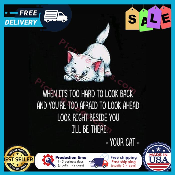 Cat when its too hard to look back and youre too afraid to look ahead look right beside you ill be there shirt