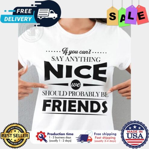 If you cant say anything nice we should probably be friends shirt