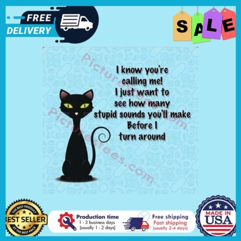 Black cat I know youre calling me I just want to see how many stupid sounds youll make before I turn around shirt