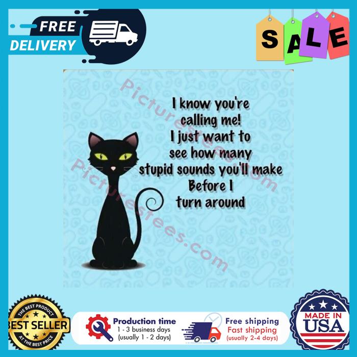 Black cat I know youre calling me I just want to see how many stupid sounds youll make before I turn around shirt
