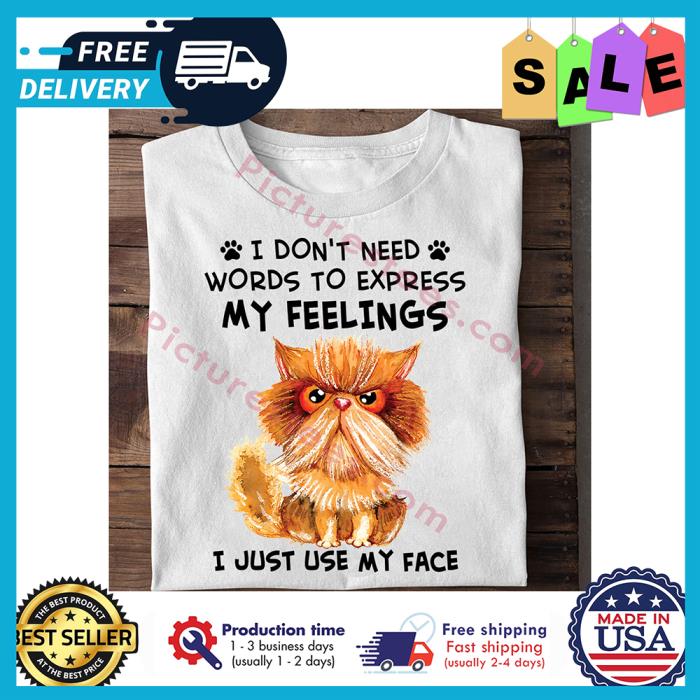 Cat grumpy I dont need words to express my feelings I just use my face shirt