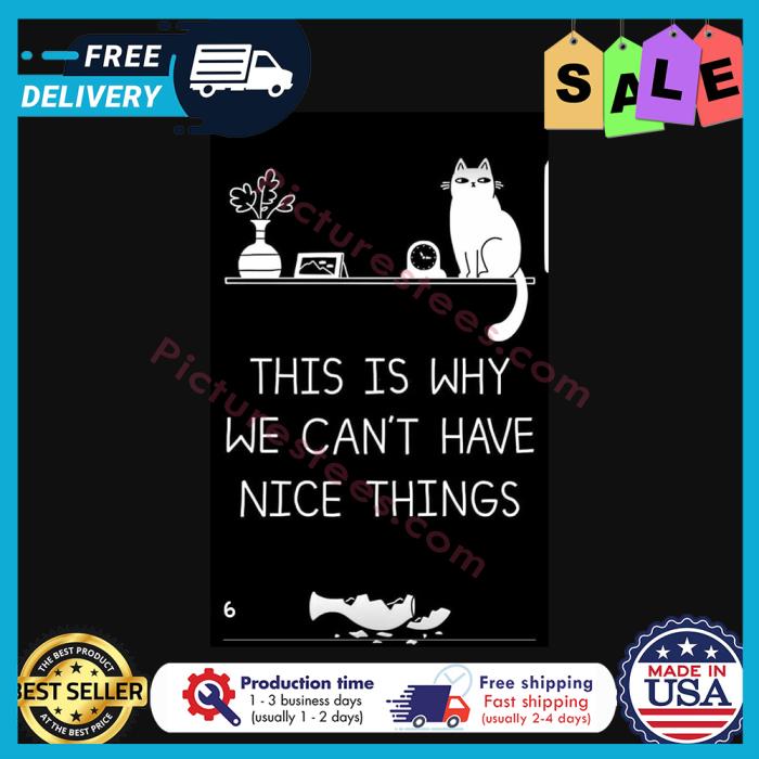 Cat this is why we cant have nice things shirt