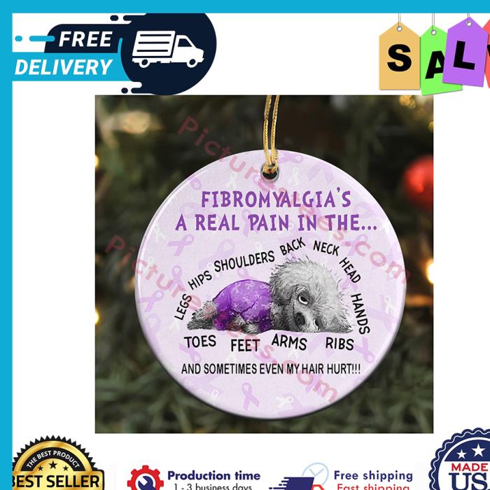 Dog fibromyalgia a real pain in the and sometimes even my hair hurt ornament