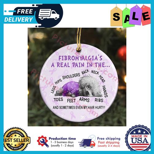 Dog fibromyalgia a real pain in the and sometimes even my hair hurt ornament unisex, hoodie, sweatshirt Dog fibromyalgia a real pain in the and sometimes even my hair hurt ornament unisex, hoodie, sweatshirt