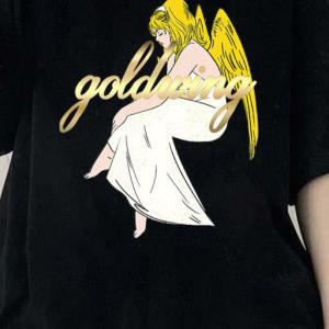 Goldwing merchandise 2024