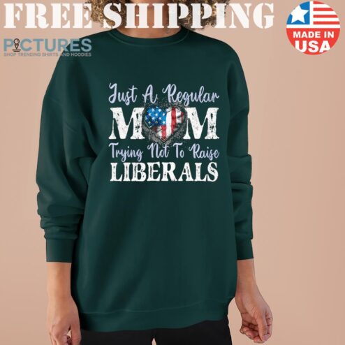 Just a Regular Mom Trying not to raise Liberals Sweater