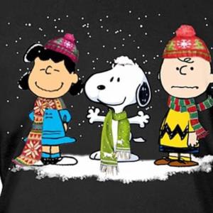 Peanuts Christmas Stainless Steel Tumbler w/Lid ~ Snoopy & Charlie Brown - 16  oz