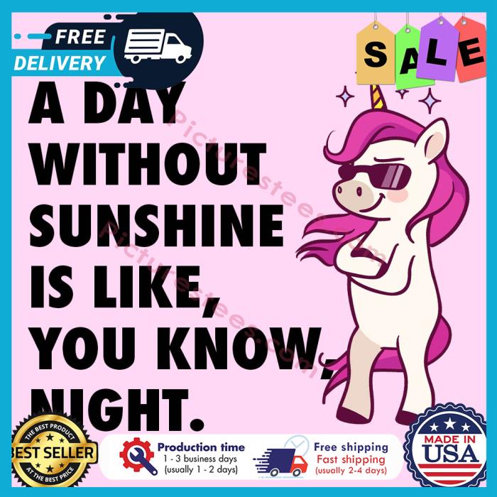 Unicorn a day without sunshine is like you know night shirt