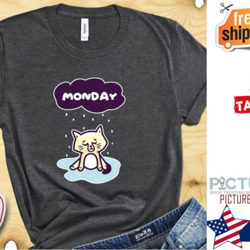 Cat Monday Shirt, Gift For Cat Lover, Funny Cat Shirt, Crazy Cat Lady, Cute Cat Shirt, Kitten Shirt, Kitty Shirt, Womens Cat Shirt