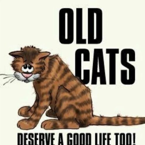 Tiger cat old cats deserve a good life too shirt