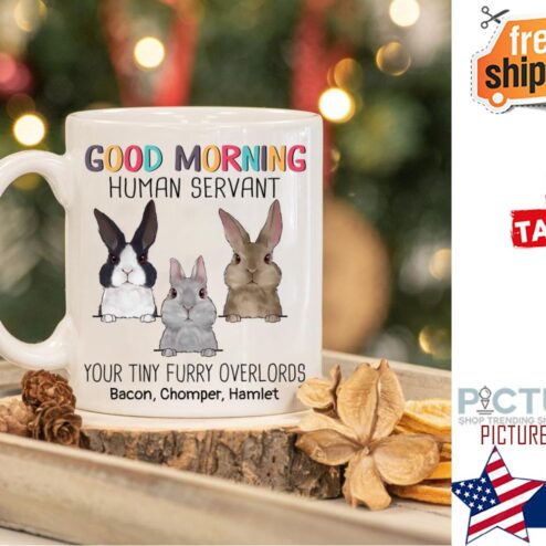 Good Morning Human Servant Rabbits Personalized Mug