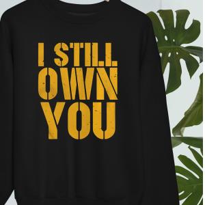 FREE shipping I Still Own You Aaron Rodgers Green Bay Packers For Fan NFL  Shirt, Unisex tee, hoodie, sweater, v-neck and tank top