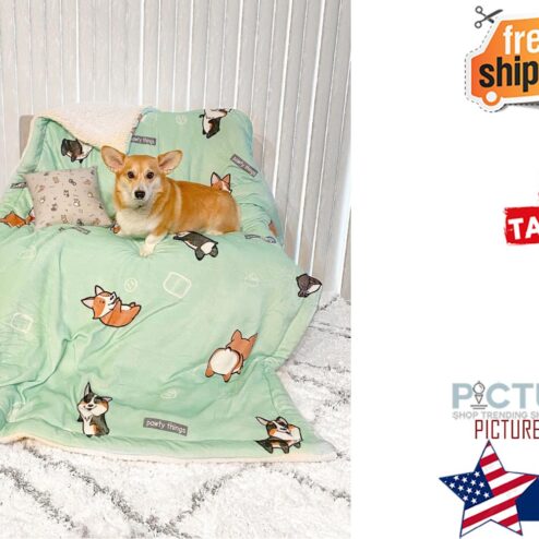 Rocket Corgi XL Sherpa Blanket