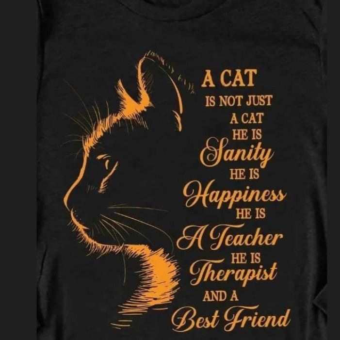 A cat is not just a cat he is Sanity he is happiness he is a teacher he is therapist and a best friend shirt