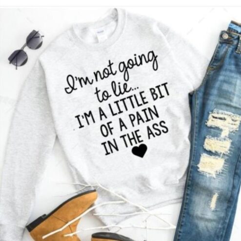 I'm not going to lie i'm a little bit of a pain in the ass shirt
