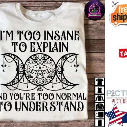 I'm too insane to explain and you're too normal to understand shirt