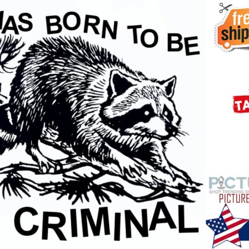 Raccoon I was born to be a criminal shirt