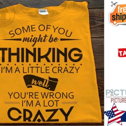 Some of you might be thinking i'm a little crazy well you're wrong i'm a lot crazy shirt