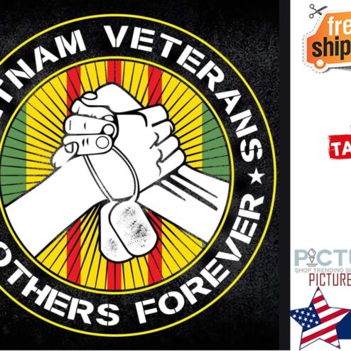 Viet nam veterans brothers forever shirt