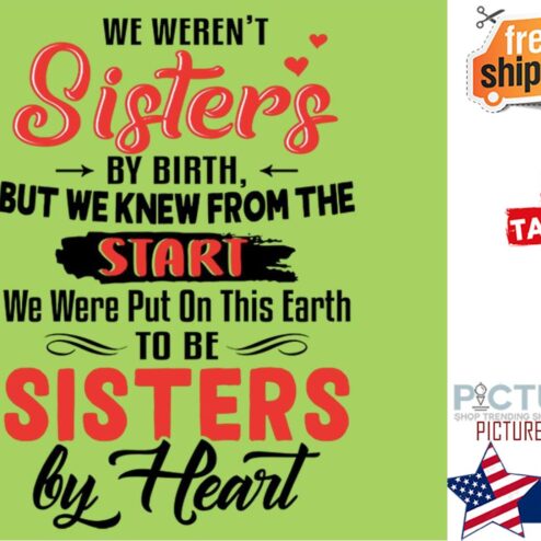 We weren't sisters bu birth but we knew from the start we were put on this earth to be sisters by heart shirt
