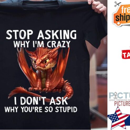 Dragon stop asking why i'm crazy I don't ask why you're so stupid shirt
