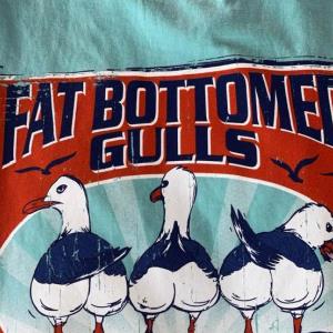 FREE shipping Fat bottomed gulls you make the flockin’ world go round