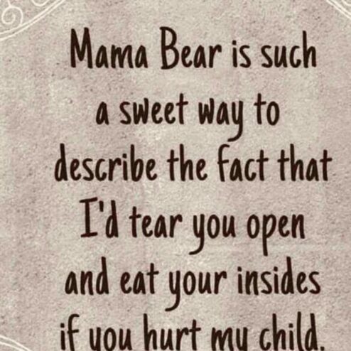 Mama Bear is such a sweet way to describe the fact that I'd tear you open and eat your insides if you hurt my child shirt