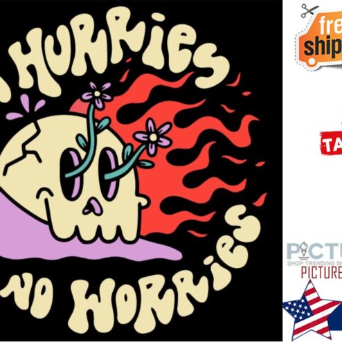 Skull no hurries no horries shirt