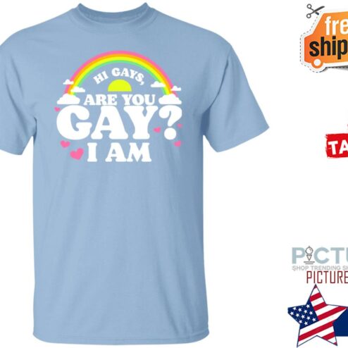 Are You Gay Tee Hi Gays Are You Gay I Am LGBT Shirt