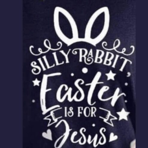 Silly Rabbit faster is for Jesus shirt