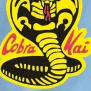 Cobra Kai NO MERCY s unisex, hoodie, sweatshirt Cobra Kai NO MERCY s unisex, hoodie, sweatshirt