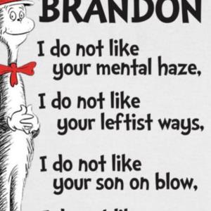 Dr Sesuss Let's go Brandon I do not like your mental haze Sleepy Joe s unisex, hoodie, sweatshirt Dr Sesuss Let's go Brandon I do not like your mental haze Sleepy Joe s unisex, hoodie, sweatshirt