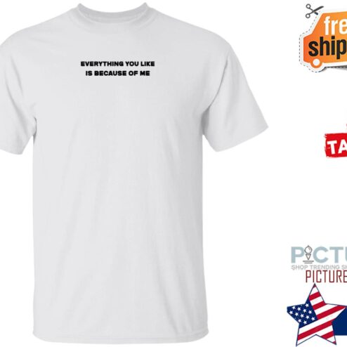 Everything You Like Is Because Of Me Shirt