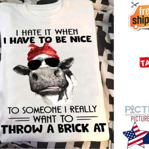 Heifer I hate it when I have to be nice to someone I really want to throw a brcik at shirt