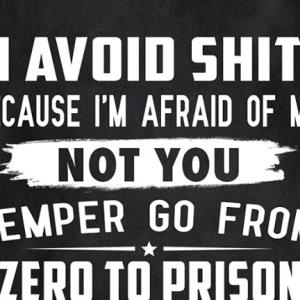 I avoid shit because i'm afraid of me not you temper go from zero to prison real fast s unisex, hoodie, sweatshirt I avoid shit because i'm afraid of me not you temper go from zero to prison real fast s unisex, hoodie, sweatshirt