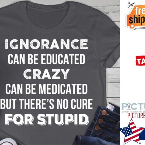 Ignorance can be educated crazy can be medicated but there's no cure for stupid shirt