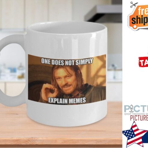 One does not simply explain memes mug