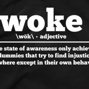 Woke a fake state of awareness only achieved by dummies that try to find injustice everywhere except in their own behavior s unisex, hoodie, sweatshirt Woke a fake state of awareness only achieved by dummies that try to find injustice everywhere except in their own behavior s unisex, hoodie, sweatshirt