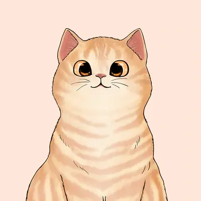 Picturestees - United States Print On Demand T-shirt 11 Picturestees Customized Gifts