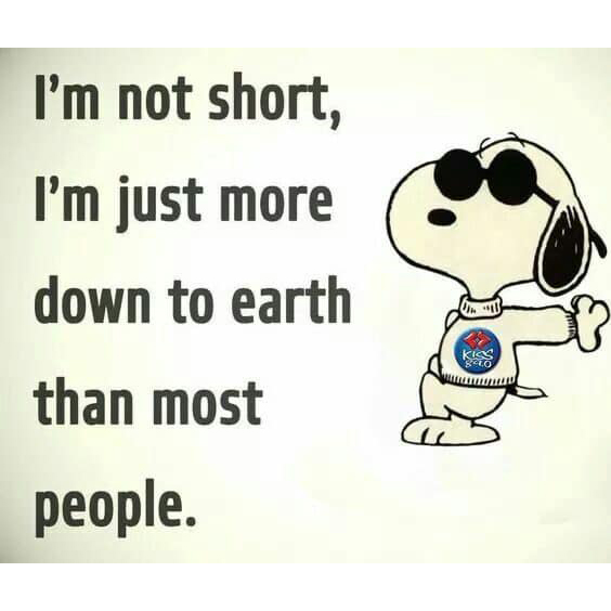 Snoopy i'm not short i'm just more down to earth than most people shirt
