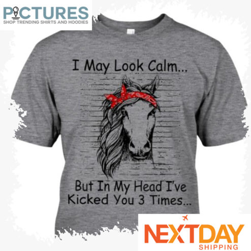 The horse I may look calm but in my head i've kicked you 3 times shirt