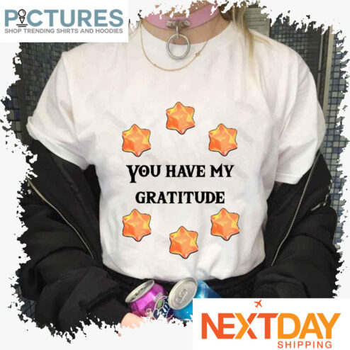 You Have My Gratitude Crystals Skyward Sword shirt