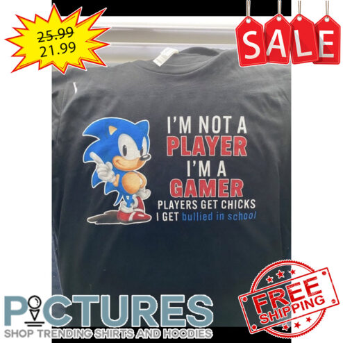Sonic i'm not a player i'm a gamer players get chicks I get bullied in school shirt