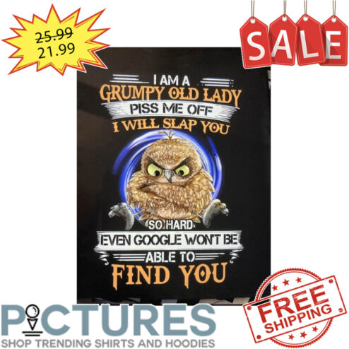 Owl I am a grumpy old lady piss me off I will slap you so hard even google won't be able to find you shirt