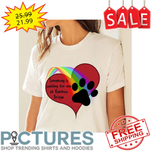 Paw Rainbow Somebody Is Waiting For Me At Rainbow Briage shirt