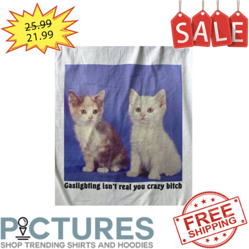 Kitty Cats Gaslighting Isn't Real You Crazy Bitch shirt