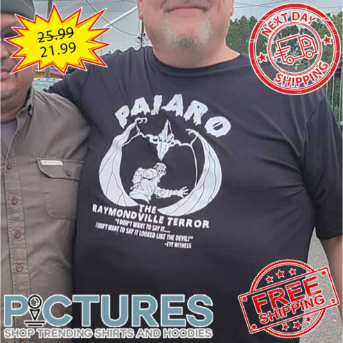 Pajaro The Raymond Ville Terror I Don't Want To Say It I Don't Want To Say It Looked Like The Devil Eye Withness shirt