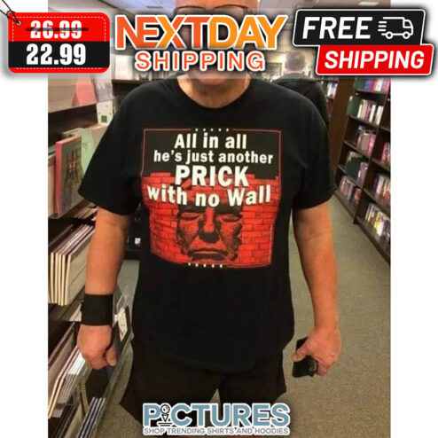 All In All He's Just Another Prick With No Wall shirt