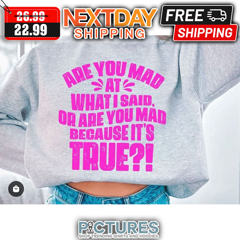 Are You Mad At What I Said Or Are You Mad Because It's True Vintage shirt