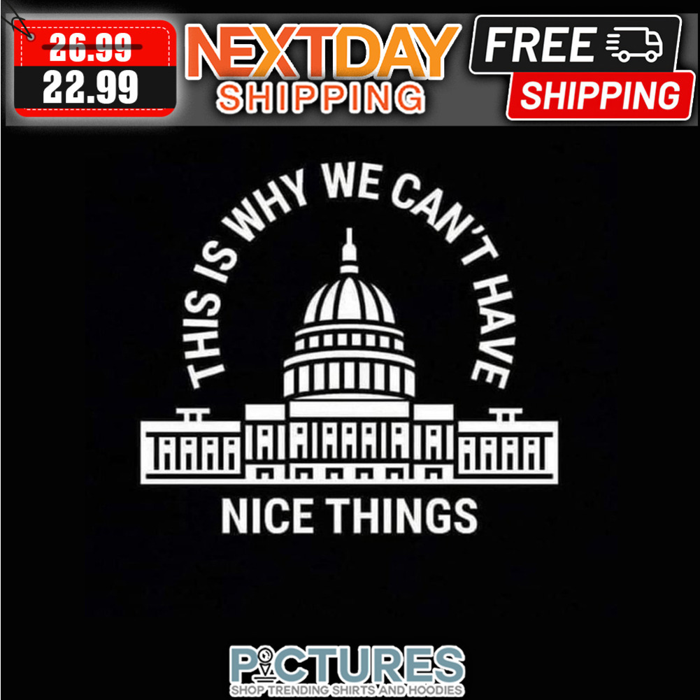 Goverment This Is Why We Can't Have Nice Things shirt
